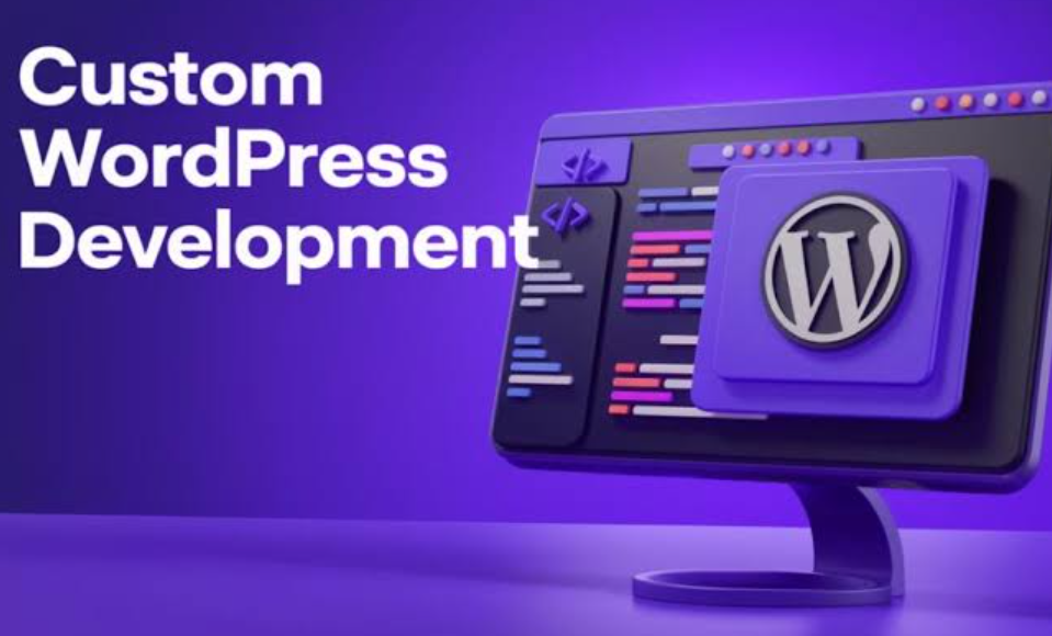 custom wordpress development