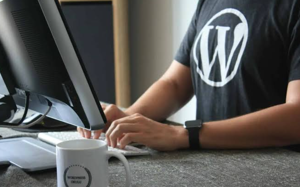 wordpress performance audit